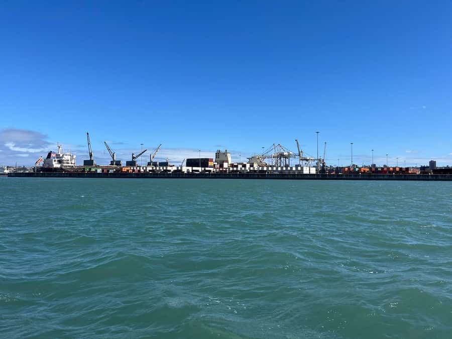 Gqeberha: 30 MINUTE HARBOUR CRUISE - What the $18 price gets you
