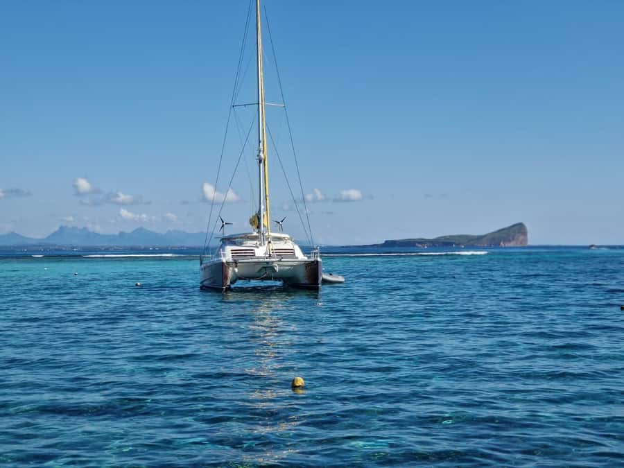 Grand Bay: Catamaran Cruise to Flat Island with BBQ Lunch - Key points to know before booking