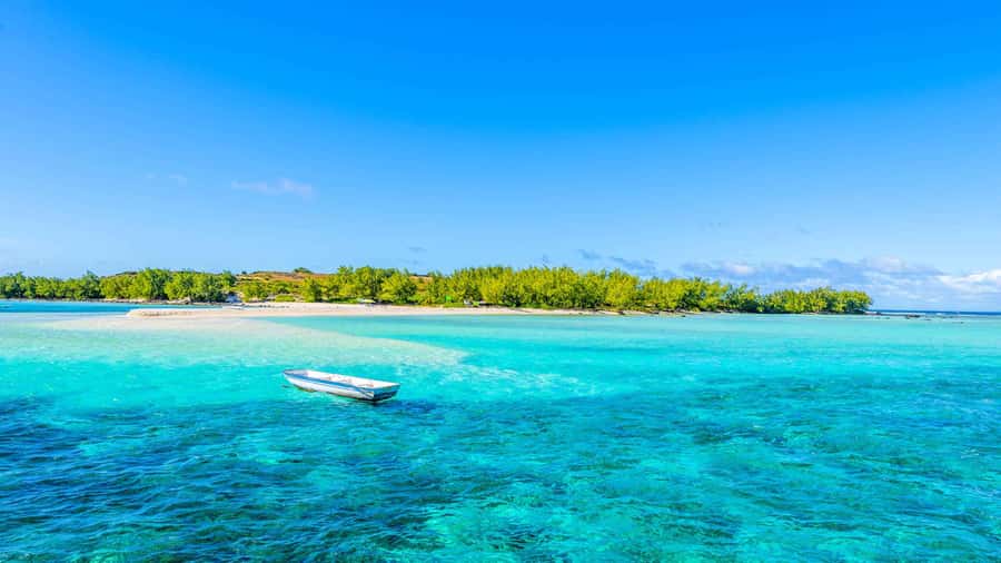 Grand Bay: Catamaran Cruise to Flat Island with BBQ Lunch - Snorkeling in the northern lagoons