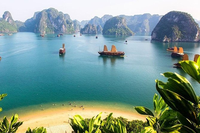 Group Halong Bay Day Cruise Including Hotel Transfers from Hanoi - Guide quality and group size
