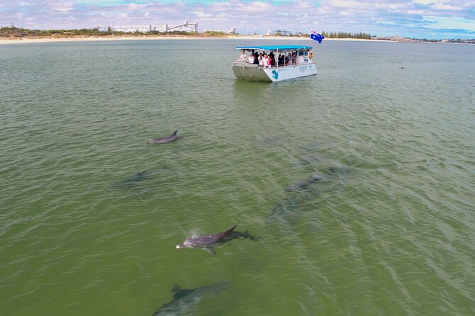 Guided Dolphin Eco-Cruise in Koombana Bay - Why the boat design matters