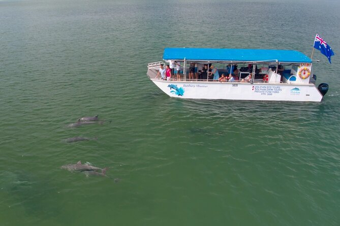 Guided Dolphin Eco-Cruise in Koombana Bay - Price and overall value at $46.62