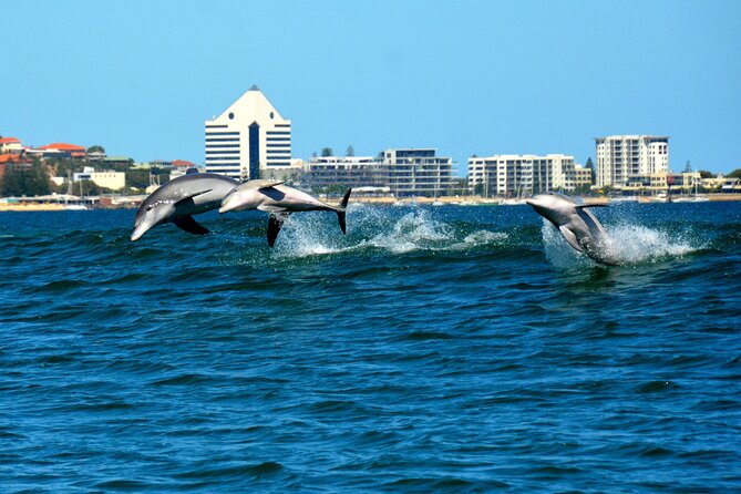 Guided Dolphin Eco-Cruise in Koombana Bay - Timing, arrival, and the cooler months
