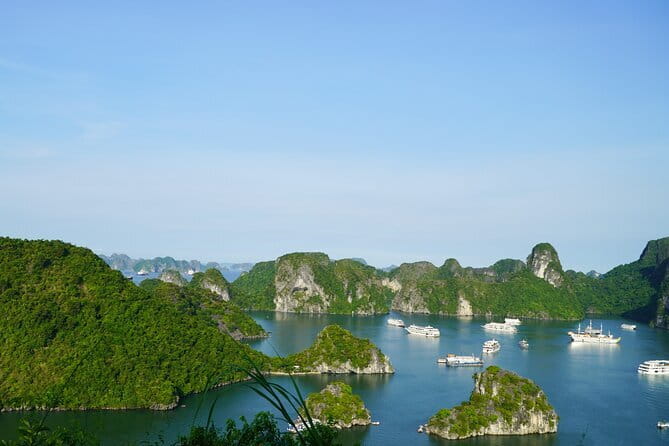 Ha Long Bay 1 Day Joined Luxury Tour - A buffet lunch and a jacuzzi on the cruise