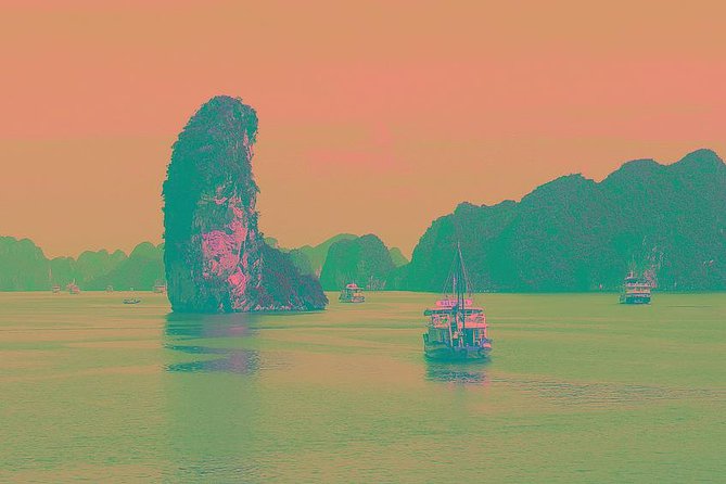 Ha Long Bay 1 Day Tour - Ba Hang fishing village and local contact