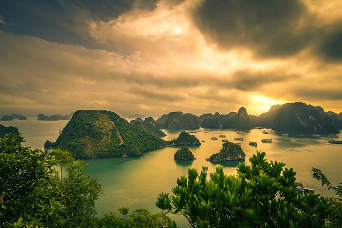 Ha Long Bay Cruise Day Tour-Cave, Kayaking,Ti top island & Lunch - What lunch is really like on board