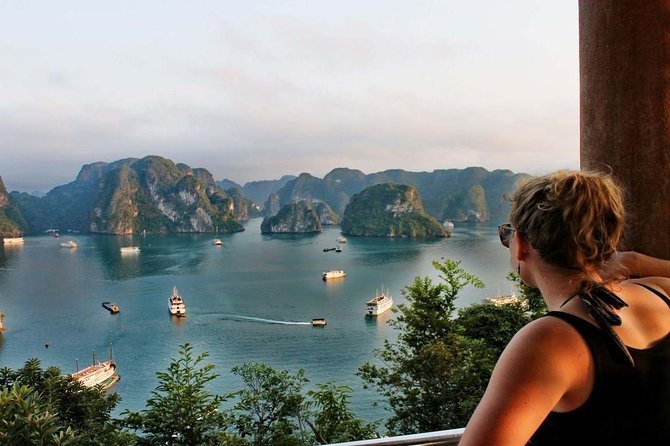 Ha Long Bay Luxury Cruise 1 Day - How the organization affects the experience