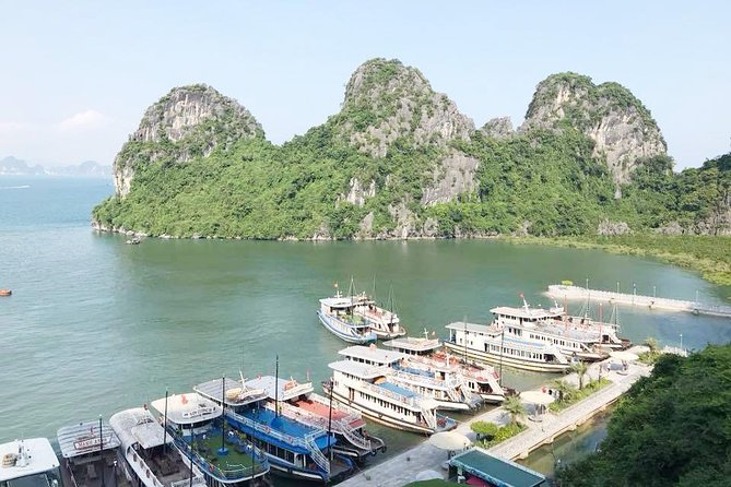 Ha Long Full Day 4-Hour Trip from Hanoi - Tuan Chau Harbor and lunch on the boat
