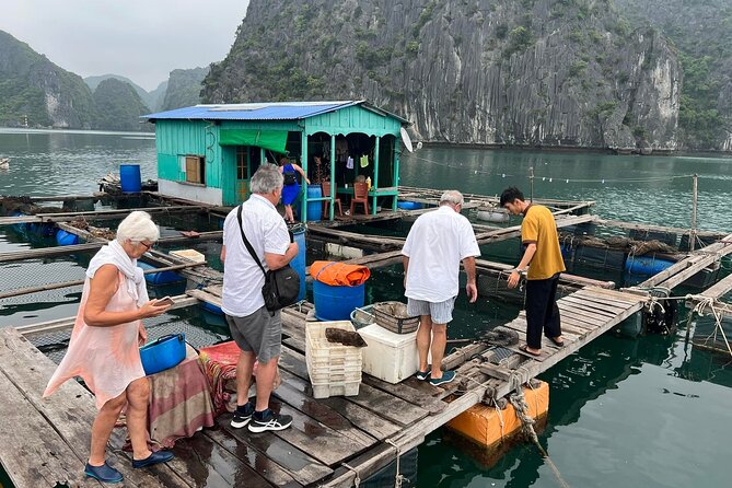 Ha noi: 3D- Halong, Lan ha bay classic cruise, Ninh Binh full day - What this three-day route really offers