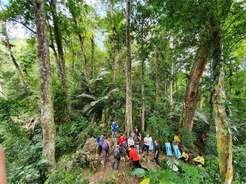 Ha Noi, Cat Ba, HaLong Bay Cruise, Ninh Binh Day Tour 4D/3N - Should you book the Hanoi, Cat Ba, Ha Long Bay, and Ninh Binh tour?