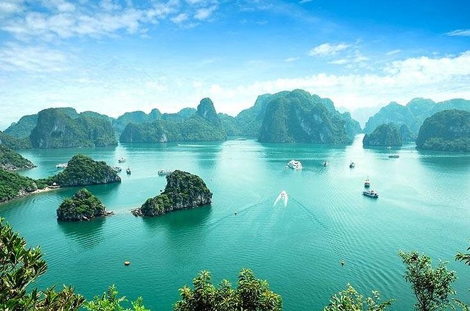 Half Day Explore Halong Bay With Lunch, Sung Sot Cave, Titop Island and Kayaking - Hang Luon gives you a choice between paddling and a bamboo boat