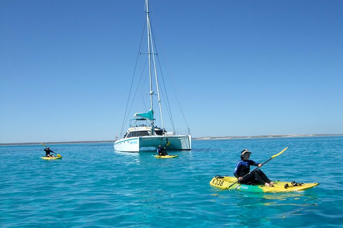 Half Day Sailing and Snorkeling Tour from Coral Bay - Practical details for a smoother morning