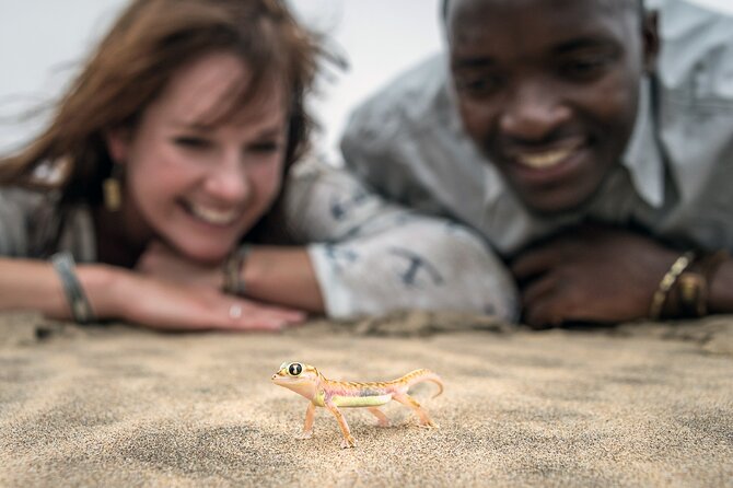 Half-Day Sandwich Harbour Tour from Walvis Bay with Lunch - Driving the beach toward Sandwich Harbour