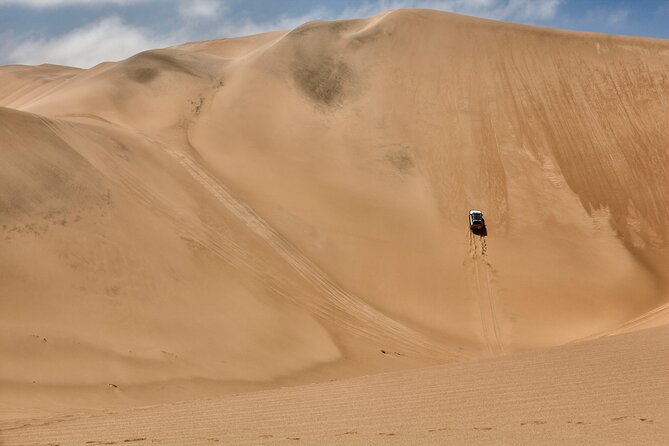 Half-Day Sandwich Harbour Tour from Walvis Bay with Lunch - The Kuiseb River Delta and dry country