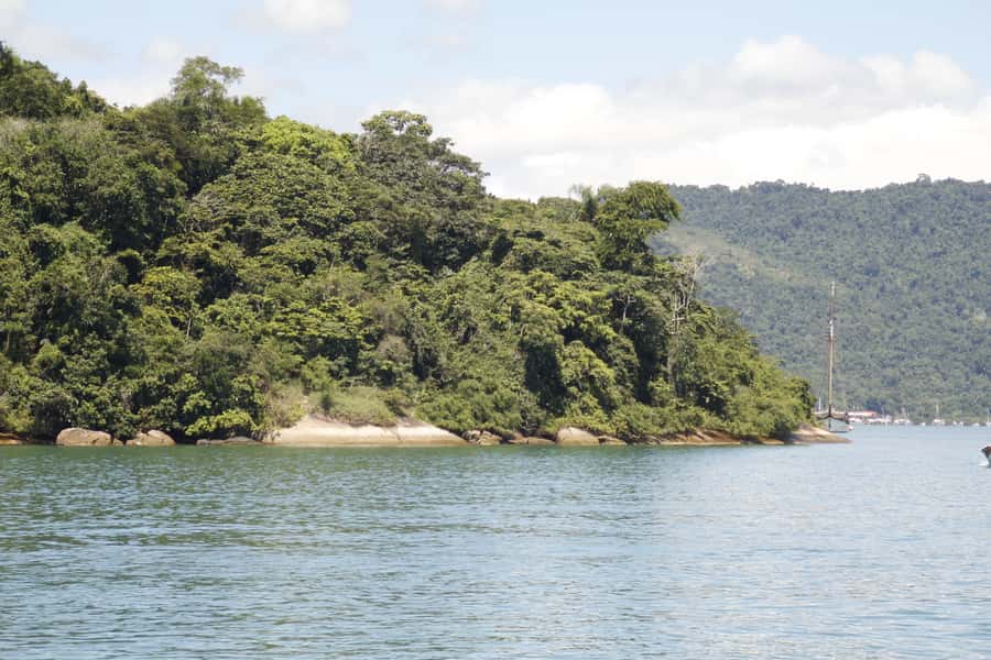 Half-Day Schooner Cruise and Snorkeling in Paraty Bay - Who will get the most from this cruise?