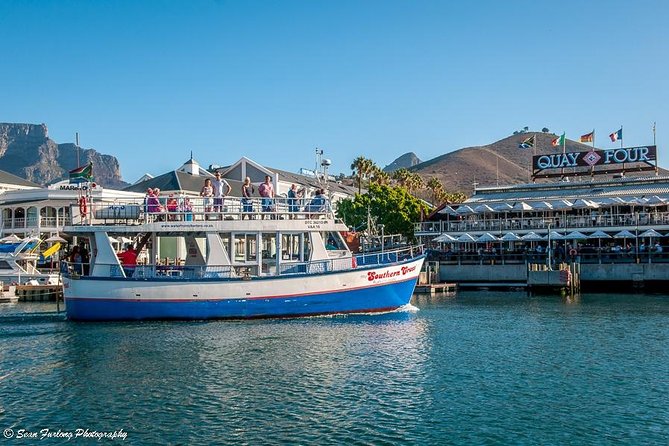 Half Hour Seal and Harbour Cruise from Cape Town - Key points to know before you book