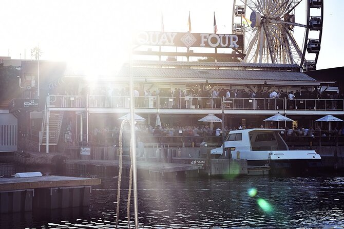 Half Hour Seal and Harbour Cruise from Cape Town - Commentary, music, and the human touch