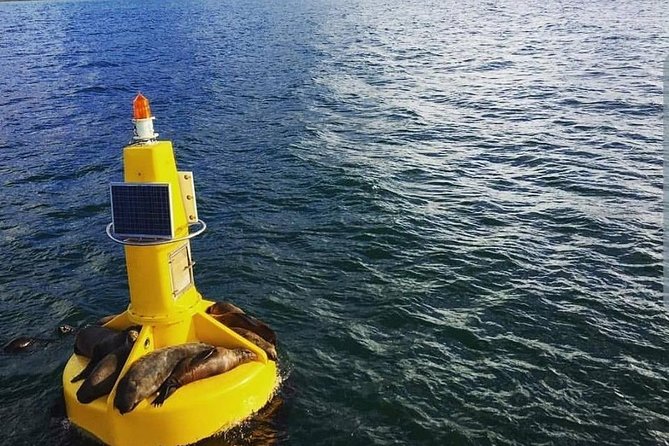 Half Hour Seal and Harbour Cruise from Cape Town - Family comfort and the practical details