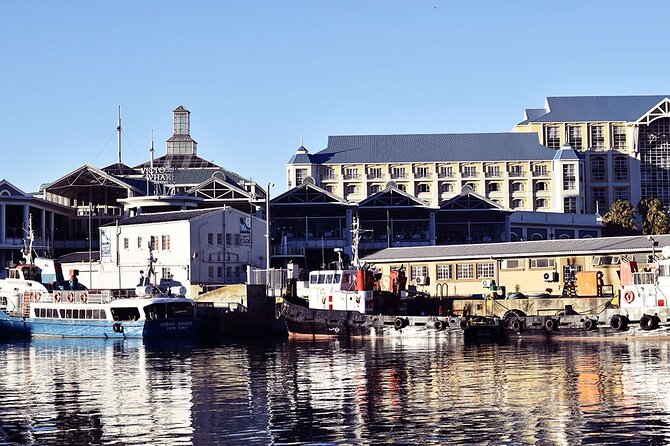 Half Hour Seal and Harbour Cruise from Cape Town - Booking, cancellations, and timing advice