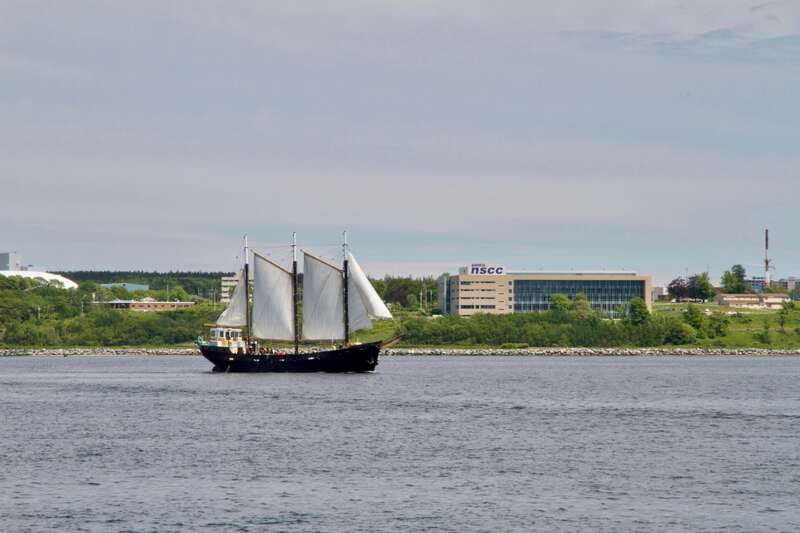 Halifax: Tall Ship Harbor Sailing Cruise with Live Music - Should you book this Halifax harbor cruise?