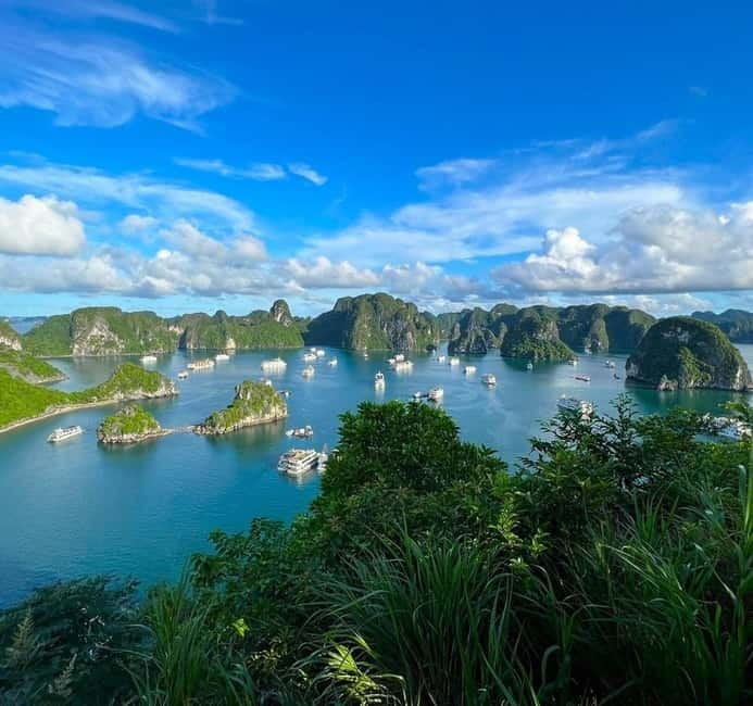 Halong 6 Hours Cruise: Kayak, Cave, Lunch, Beach & Island - Sung Sot Cave, Ha Long Bay’s big showpiece