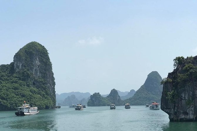 HaLong Bay 1Day 6hrs cruising - Alova Premium Cruise - Limousine - The guide and the group experience