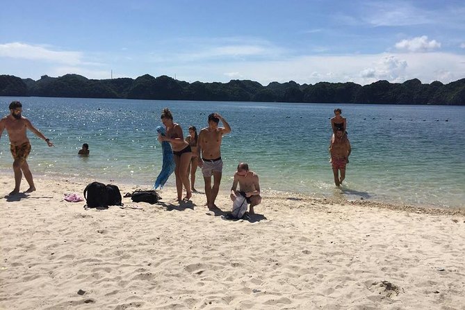 Halong Bay 2 Days 1 Night Included Transfer from Hanoi - How much value do you get for $159?