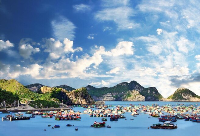 Halong Bay 2D1N BEST CRUISES All-Inclusive: Transfer, Meals, Kayak, Cave, Island - Key points before you book