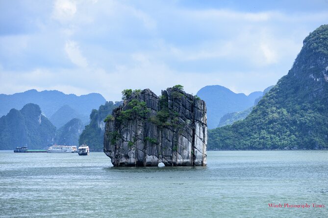 Halong Bay 6 Hours Cruise with Buffet, Sung Sot, Luon Cave, Titop - Sung Sot Cave: Halong Bay’s grand indoor stop