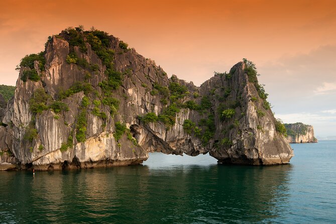 Halong Bay 6 Hours Cruise with Buffet, Sung Sot, Luon Cave, Titop - Luon Cave by kayak or sampan boat