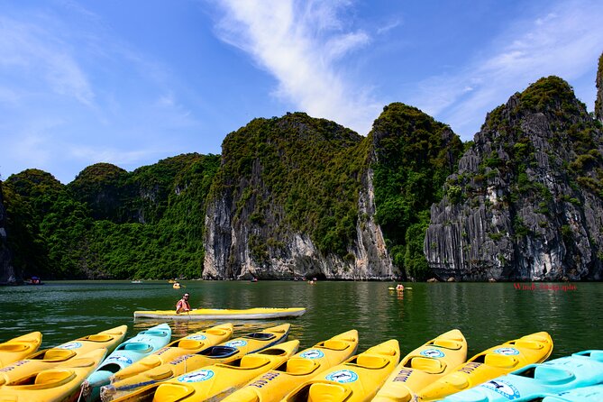 Halong Bay 6 Hours Cruise with Buffet, Sung Sot, Luon Cave, Titop - Who this Halong Bay tour suits best
