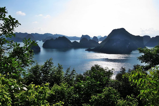 Halong Bay Cruise Full Day Tours - Who will enjoy this day most