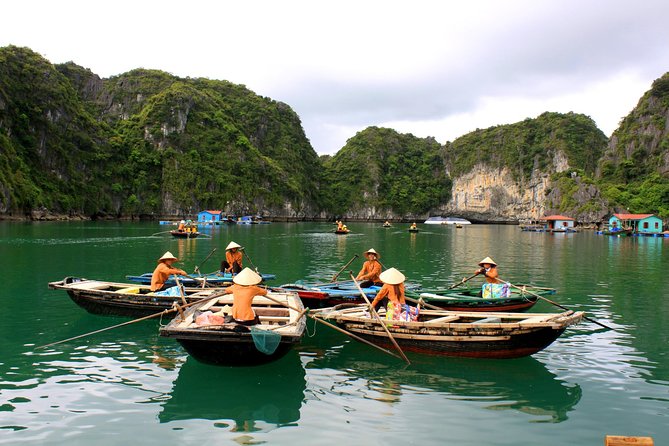 Halong Bay Day Cruise with Bamboo Boat Ride or Kayaking - Who will get the most from this day cruise