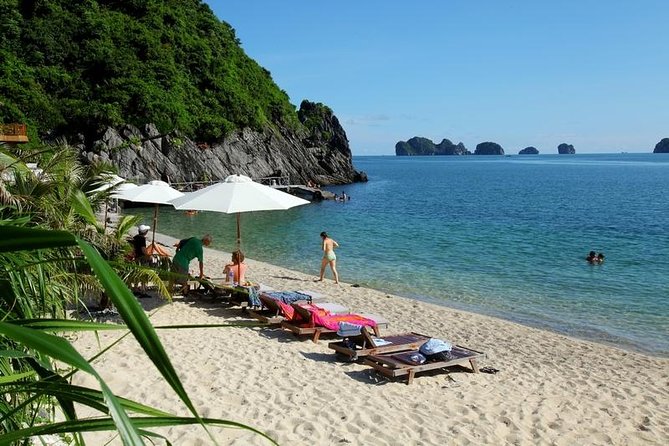 Halong Bay Full-Day - 5.5 Hours On-Boat With Cave And Kayaking - Luon Cave by kayak or bamboo boat