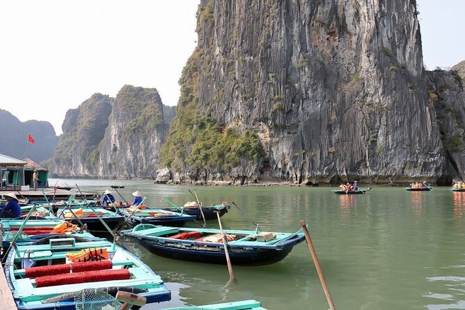 Halong Bay Full-day Cruise with Kayaking from Hanoi - Swimming and climbing at Ti Top Island