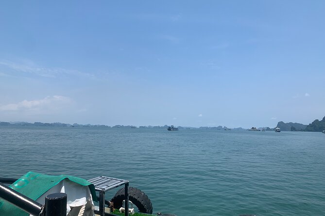 Halong Bay Full Day With 5 Star Cruise - Buffet Lunch - Buffet lunch with Vietnamese specialties