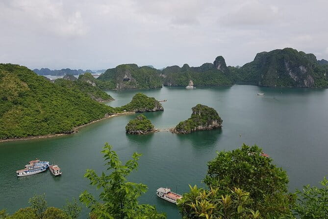 Halong Bay Shore Excursion: Full Day Cruise Tour from Cruise Port - Key points to know before you book