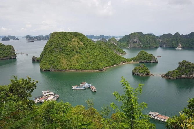 Halong Bay Shore Excursion: Full Day Cruise Tour from Cruise Port - What $79 buys you