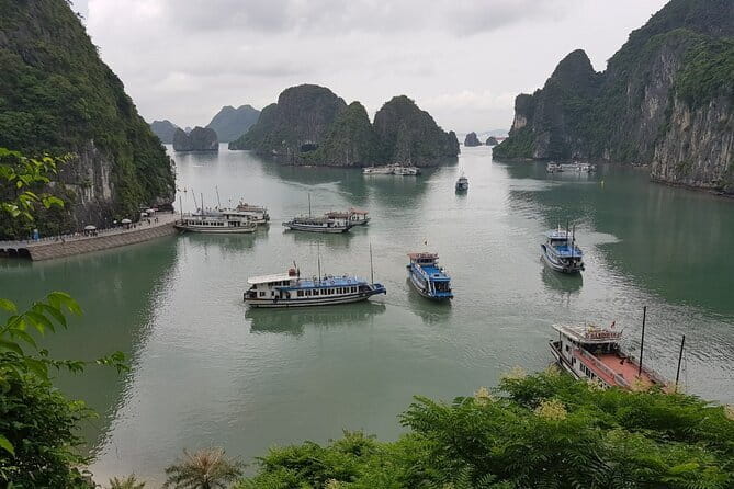 Halong Bay Shore Excursion: Full Day Cruise Tour from Cruise Port - Meeting at Ha Long International Cruise Port