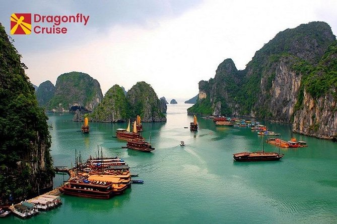 Halong Islands, Cave, Kayak, Bamboo Day Tour w Dragonfly Cruise - Fighting Cocks Island and the classic photo stop