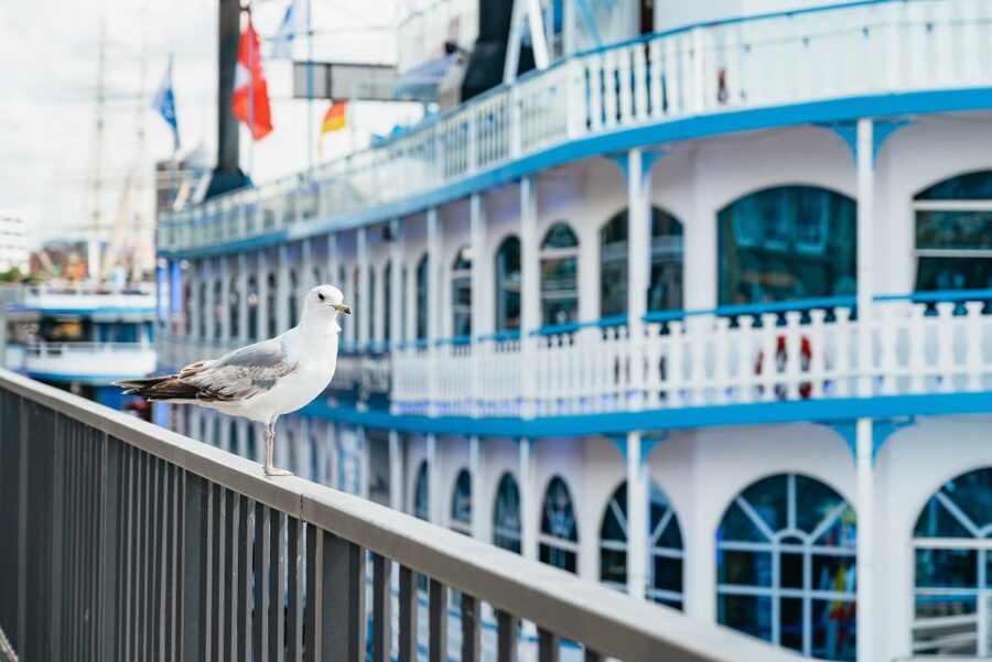 Hamburg: 1-Hour Harbor Sightseeing Cruise with HafenCity - The St. Pauli Piers and Elbe views