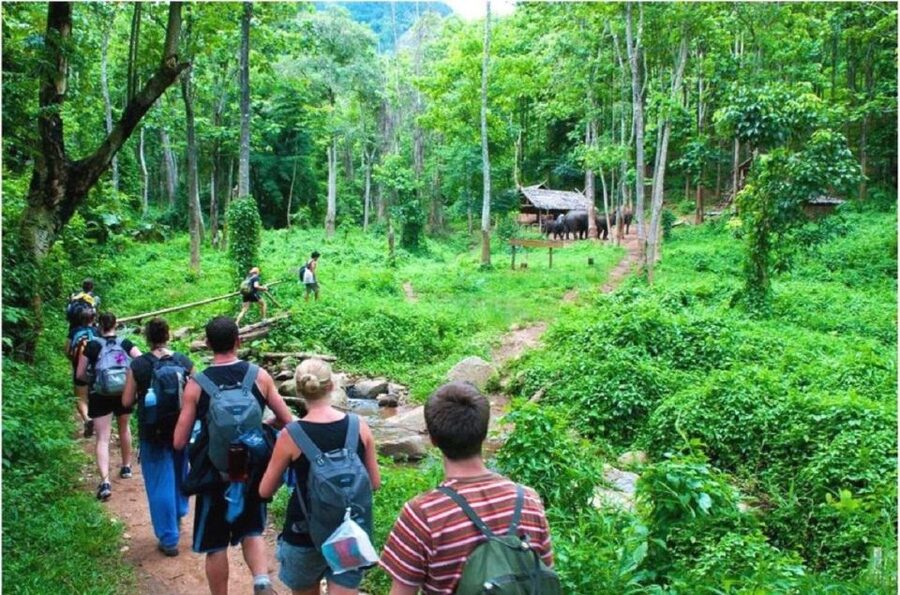 Hanoi: 3-Day Ninh Binh to Bai Tu Long Bay Tour and Cruise - The 500 steps to Mua Cave