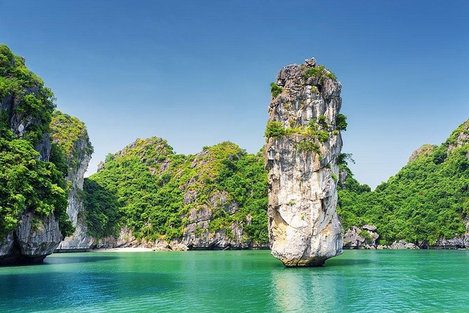 Hanoi - Ha Long One Way Private Transfer - Choosing between a sedan, SUV, or minibus