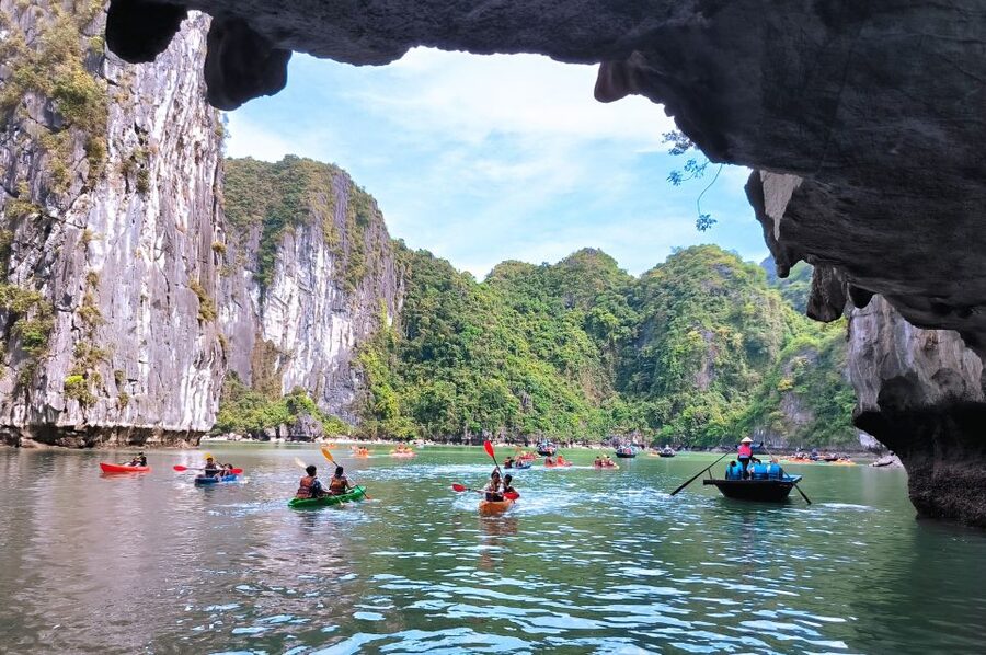 Hanoi Halong Luxury Day Tour with Private Cabin - Who will enjoy this day cruise most?