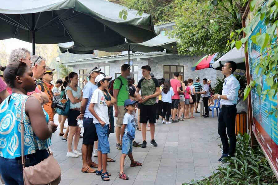 Hanoi: Islands & Caves Ha Long Cruise with Lunch & Kayaking - Thien Cung Cave and its huge chambers