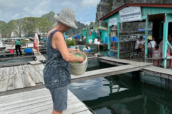 Hanoi-Ninhbinh-Halong: Lan Ha Bay 2 Days 1 Night Overnight Cruise - Late afternoon on the boat