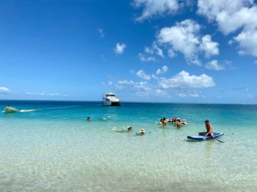 Hervey Bay: Aqua Oasis Cruise - Two hours of water activities from the boat