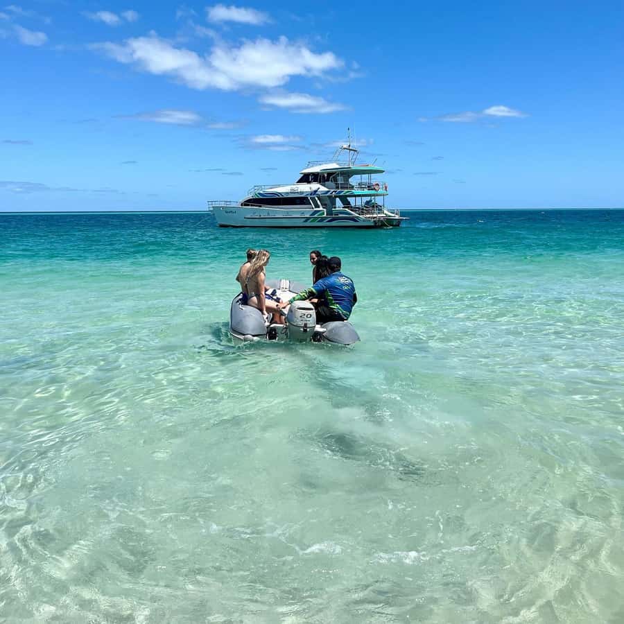 Hervey Bay: Aqua Oasis Cruise - Morning tea, the bar, and extra costs