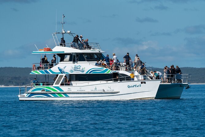 Hervey Bay: Best Value Half Day Whale Watching Cruise - Why Hervey Bay is a good place to watch whales