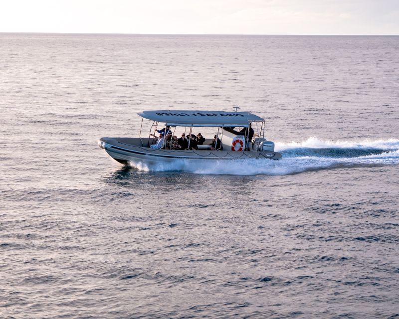 Hervey Bay: Half-Day Whale and Island Adventure by Boat - The secluded beach and sandbank stop